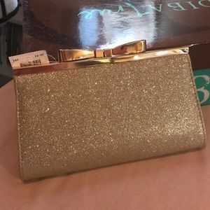 Fioni Champagne Clutch